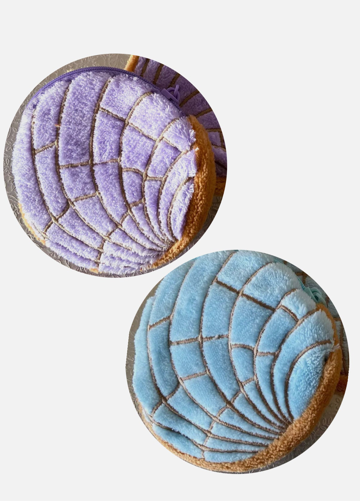 Mexican Concha Coin Purse